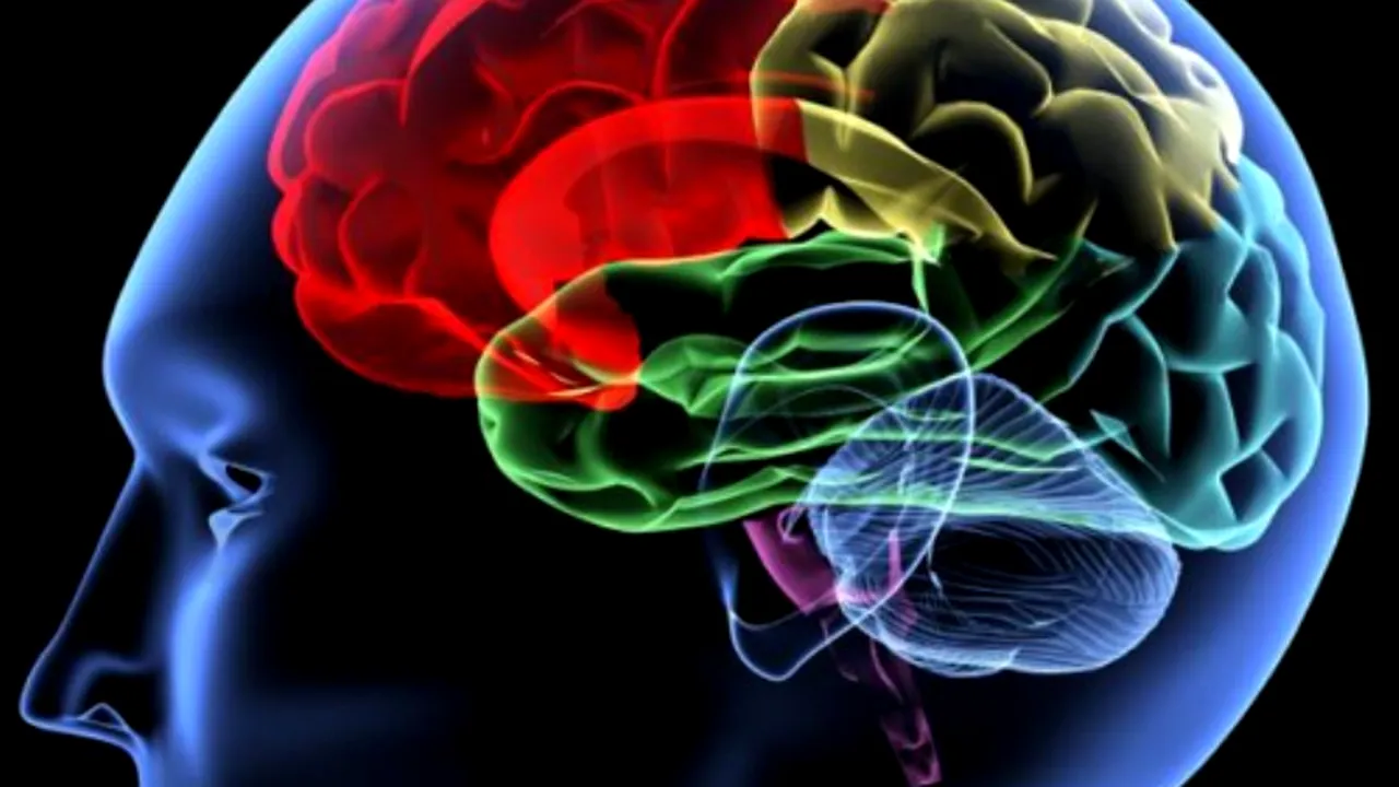 Inteligența umană intră în declin