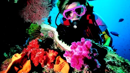 Scenariu sumbru: Cum ar putea dispărea Marea Barieră de Corali în doar 2 săptămâni