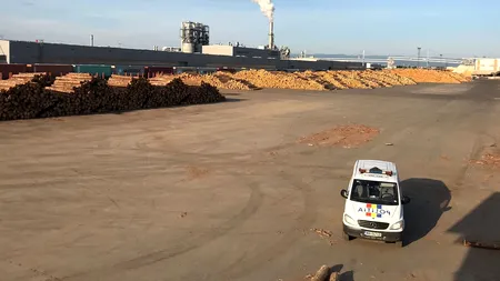 Percheziții la fabricile firmei Schweighofer Holzindustrie pentru comerț ilegal cu lemn. Prejudiciu de 25 milioane de euro. Reacția companiei