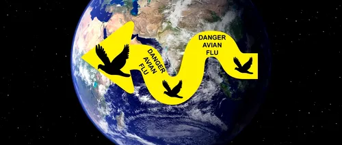 Gripa aviară evoluează ALARMANT în Asia. ONU preconizează noi MUTAȚII periculoase ale virusului