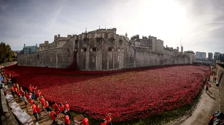 O instalație comemorativă, formată din sute de mii de maci roșii, principala atracție a Londrei