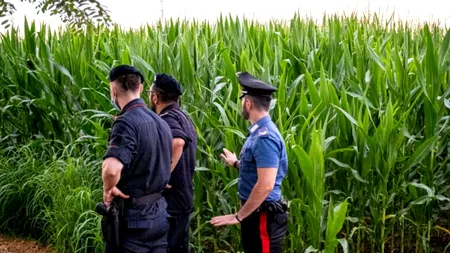 Două tinere au fost găsite moarte într-un lan de porumb, după ce au fost strivite de o combină agricolă