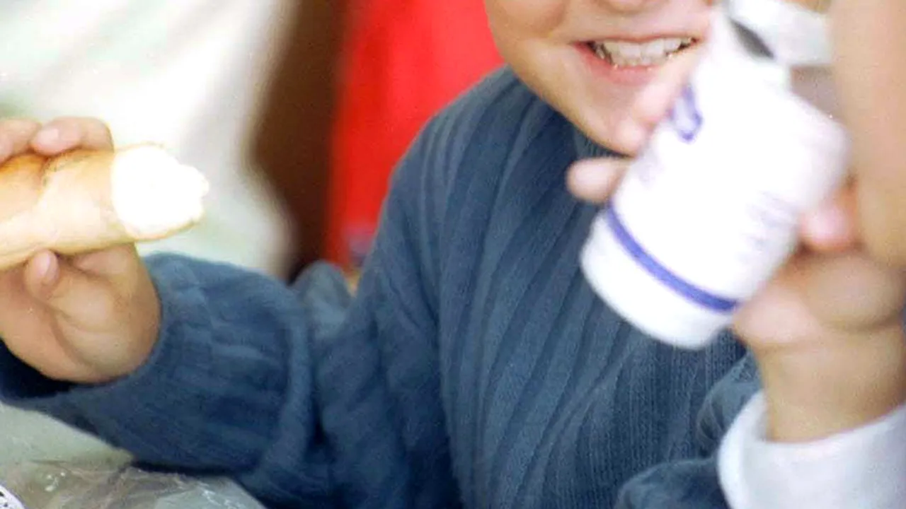 Ce au găsit inspectorii ANPC în școli și grădinițe: cornuri atinse de rozătoare, produse lactate alterate și mere înghețate