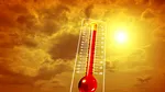 Europa de Vest a avut cea mai fierbinte lună iunie din istorie. Mii de decese, incendii și secetă
