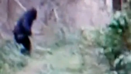 VIDEO. Imaginea care schimbă tot ce știam despre acest personaj: