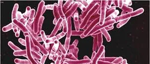STUDIU. Milioane de cazuri de tuberculoză pot exploda din cauza măsurilor restrictive, în următorii ani