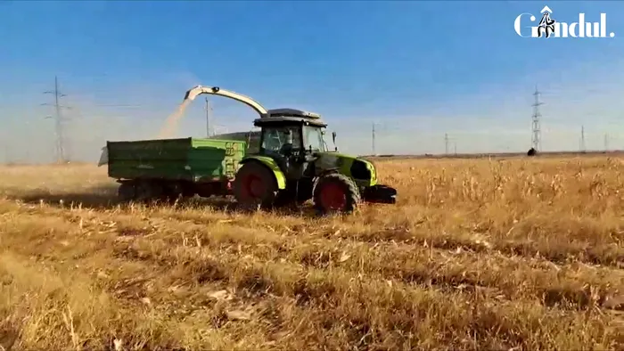 Seceta și scumpirile seacă buzunarele fermierilor. Motorina, îngrășămintele și piesele pentru utilaje au costuri tot mai mari