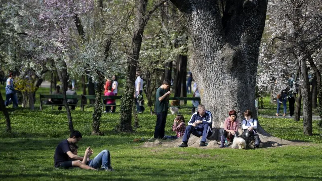 VREMEA - VREMEA ÎN BUCUREȘTI. Prognoza METEO pentru 8 și 9 mai