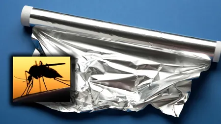 De ce să folosești zahăr și folie de aluminiu pentru a scăpa de insectele din casă. Cum funcționează acest truc, de fapt