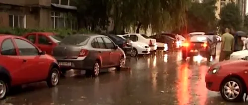 MAI: 18 persoane duse la spital, 78 de copaci căzuți în București și Ilfov, din cauza furtunii