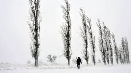 Prefecții de Botoșani și Neamț, demiși de Victor Ponta. Premierul, despre șefii de la CNADNR: 