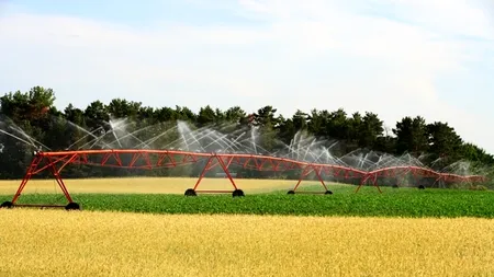 Ministrul Agriculturii: Căutăm cea mai bună soluție de reducere a prețului energiei pentru irigații