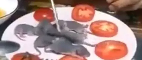 Imagini dezgustătoare. Un bărbat a fost filmat în timp ce mânca șoareci vii - VIDEO
