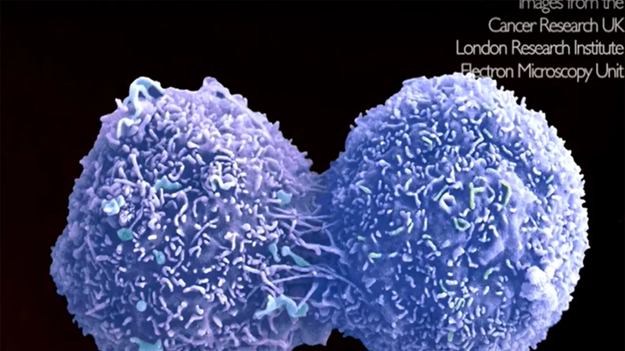 Tratamentul împotriva CANCERULUI a fost descoperit. Cum au reușit cercetătorii acest lucru