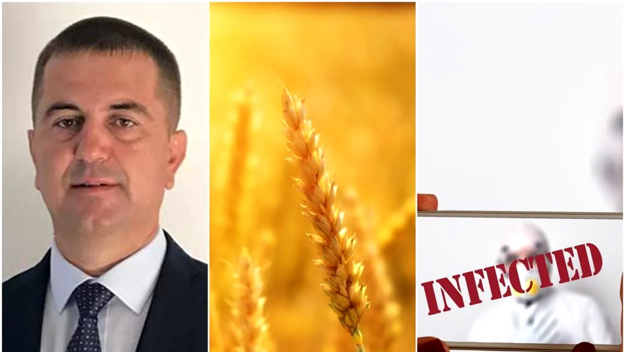 COVID-19. Fermierii spun că au stocuri de cereale. Arion, Pro Agro: „Există stocuri de materie primă și la procesatori. Ne-am lăsat pradă impulsului de moment”