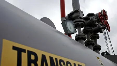 Transgaz vrea să le dea acţionarilor DIVIDENDE de 203,45 milioane lei din profitul realizat anul trecut