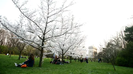 VREMEA. Care este prognoza meteo pentru următoarele zile 