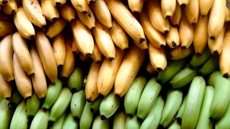 DIETĂ EXTREMĂ. Cum arată tânăra care mănâncă 51 de banane în fiecare zi
