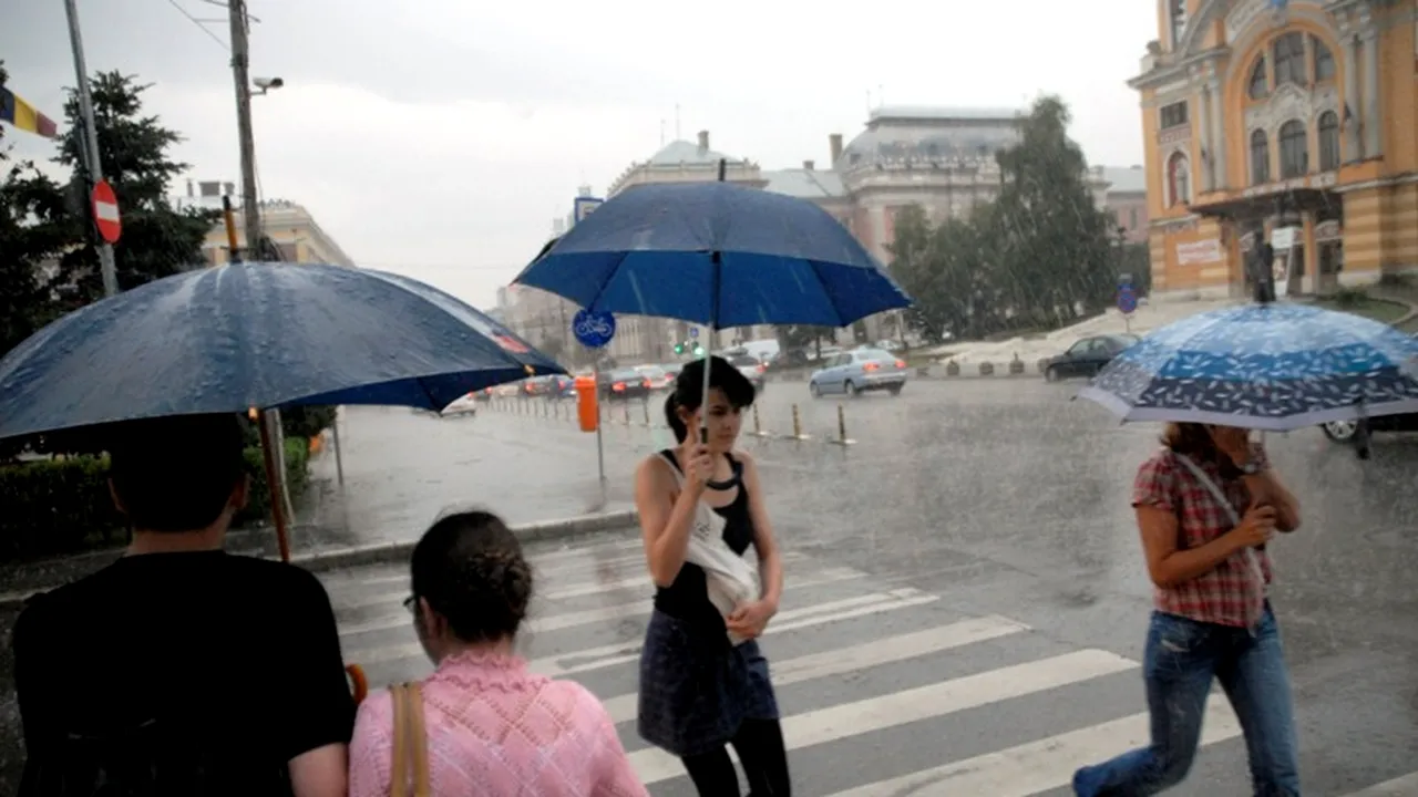 Primăria Capitalei: Copaci căzuți și mai multe semafoare defecte după vijelia din București