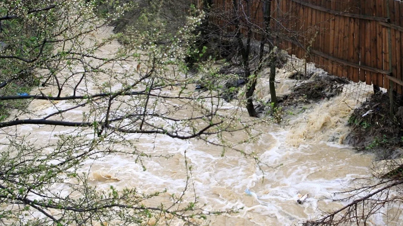 COD PORTOCALIU de inundații 