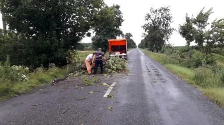 Ravagii în Buzău: Mii de persoane fără curent electric, curți și subsoluri de instituții inundate - FOTO / VIDEO