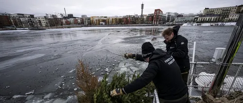 De ce suedezii aruncă brazii de Crăciun în ape? Motivul incredibil pentru care fac asta