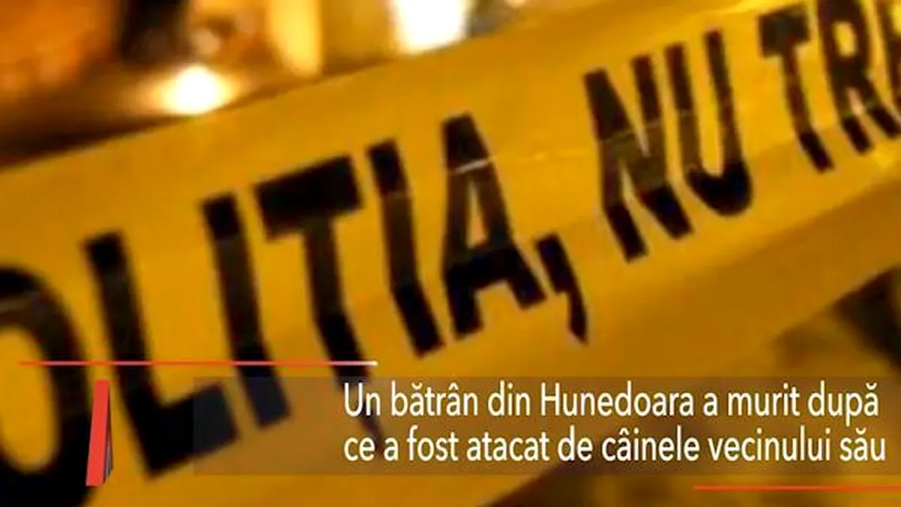 Un bătrân din Hunedoara, UCIS de câinele vecinului său. Animalul a scăpat DIN LANȚ