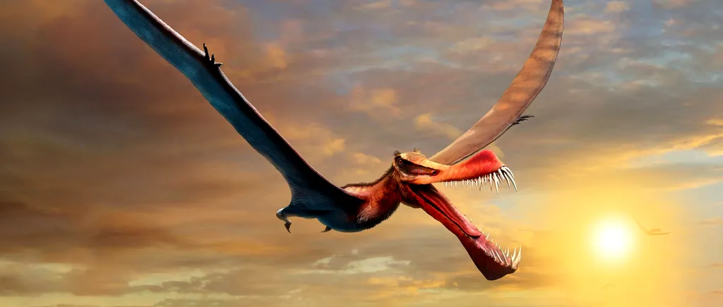 Rămășițele unui dinozaur zburător uriaș, descoperite în Australia