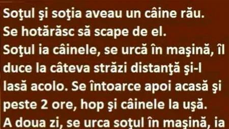 BANCUL ZILEI | Soțul, soția și câinele rău