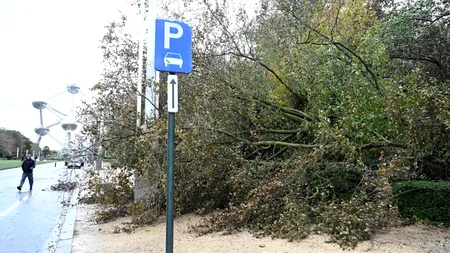 Furtuna Ciaran a UCIS 7 persoane și a rănit alte zeci. Cele mai multe victime s-au înregistrat după prăbuşirea unor copaci din cauza vântului puternic