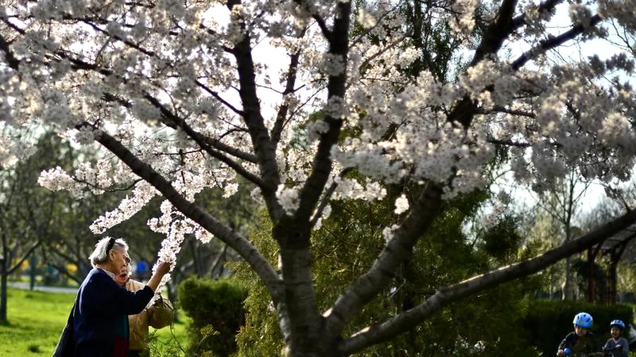 VREMEA - VREMEA ÎN BUCUREȘTI. Prognoza METEO pentru următoarele două zile