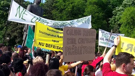 Proteste față de defrișările din România. Klaus Iohannis: „Cred că protestul de astăzi este perfect legitim