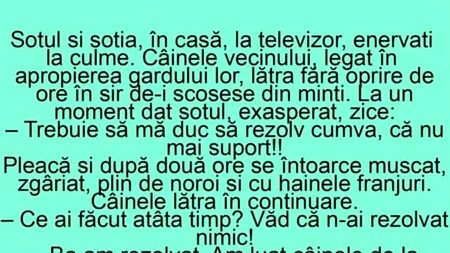 BANCUL de vineri | Soțul, nevasta și câinele vecinului