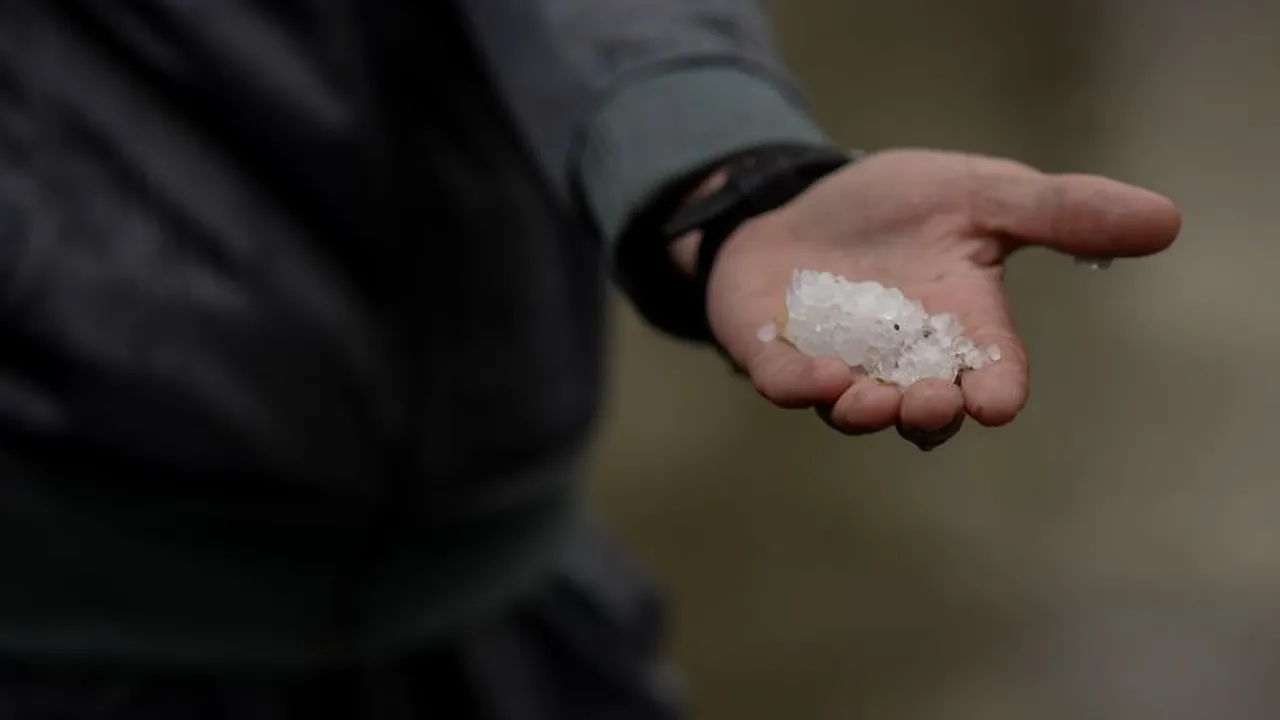 Gridina a provocat pagube de cel puțin 50 milioane de euro la Sofia