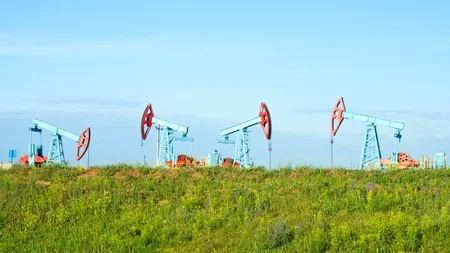 Investiție de peste 10 milioane dolari, în 2013, pentru explorarea unui perimetru petrolier