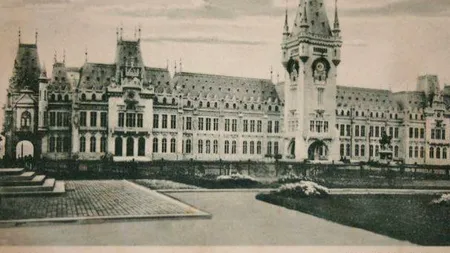 Motivul NĂUCITOR pentru care Primăria Iași a tăiat brazii din fața Palatului Culturii. Cetățenii sunt revoltați: „Copacii tăiați erau sănătoși!