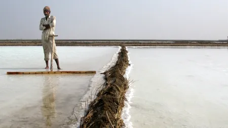 Cele mai bune documentare de la Festivalul de Film PELICAM, proiectate la București. Programul evenimentului