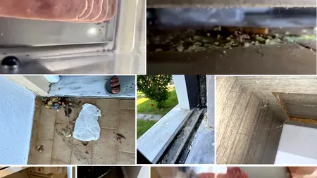 Familie de români, vacanță HORROR pe o celebră insulă din Grecia: „Mi-aș dori să văd închis hotelul, să nu mai treacă nimeni prin asta”