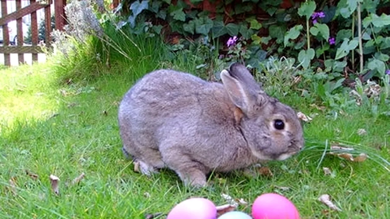 MESAJE DE PAȘTE. Cele mai frumoase URĂRI și FELICITĂRI pe care le poți trimite ca MESAJE DE PAȘTE 