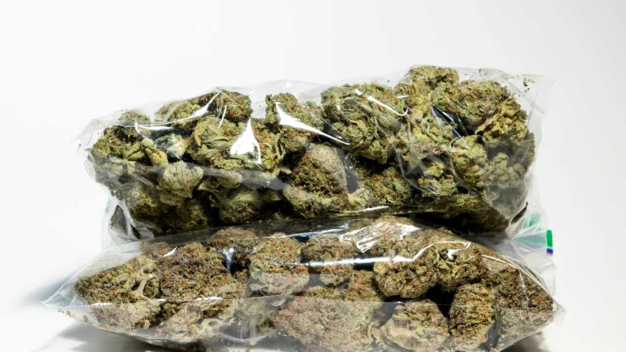 Român stabilit în SPANIA, condamnat după ce le-a trimis, prin curier, rudelor, 6 kilograme de canabis. Cum numeau traficanții coletul