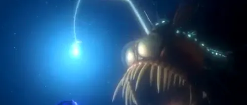 Filmul În căutarea lui Nemo 3D - pe marile ecrane românești, din noiembrie - TRAILER