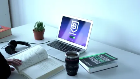 Efectuarea plăților cu criptomonede