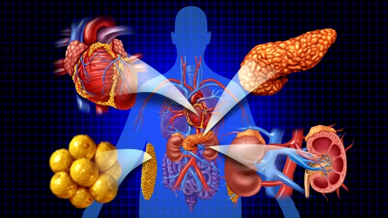 (P) Importanța analizelor în diagnosticarea bolilor metabolice și cardiovasculare