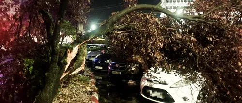 Mai mulți copaci și bucăți de acoperiș au căzut pe drum și pe mașini în Dâmbovița. Avertizările meteo în vigoare în toată țara