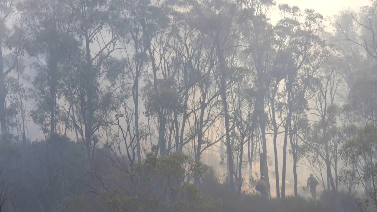 Incendiile din Australia ar putea afecta toată planeta. Anunțul făcut de NASA: cum se poate schimba atmosfera