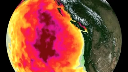 Un fenomen bizar descoperit în Pacific are efecte grave asupra climei și a organismului uman: 