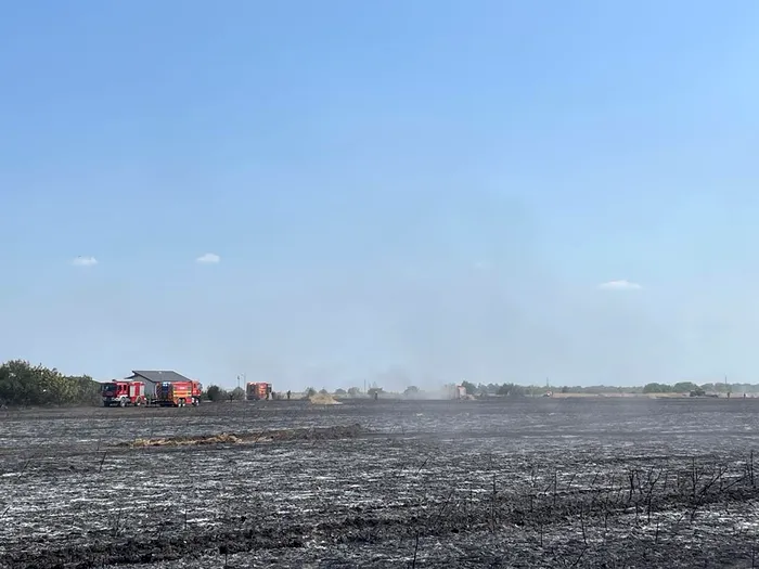 Incendiu de vegetație în București. Acționează 15 autospeciale