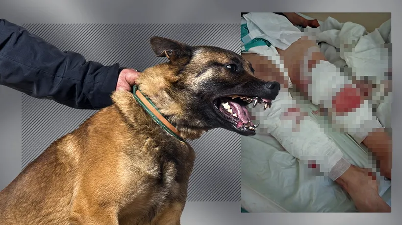 Imagini șocante! O femeie din Timiș a fost sfârtecată de cinci câini ciobănești. “Cineva a dus-o în casă, unde a lăsat-o să moară”