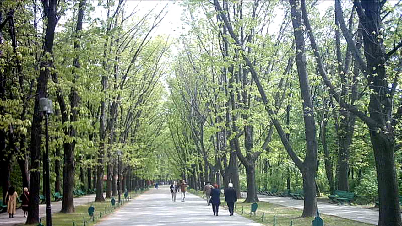 ZILE LIBERE 2024. Vestea primită de milioane de români. Când vor avea două zile libere în plus