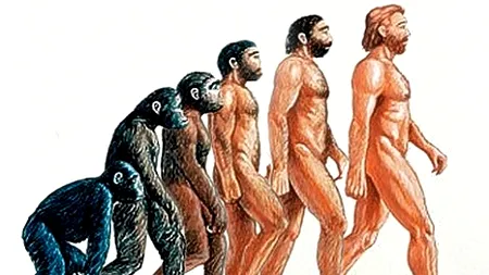 Primul bărbat modern a apărut pe Pământ mult mai devreme decât se credea